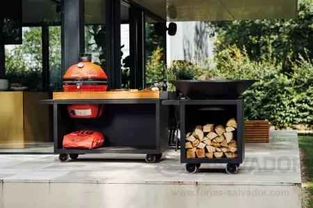 Ofyr Classic 100 Pro Leñero foto 4