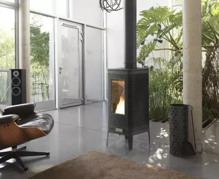 Iwaki imagen ambiente