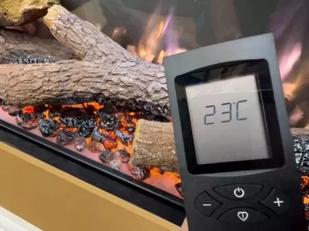 Detalle mando a distancia GO ECO MW 150